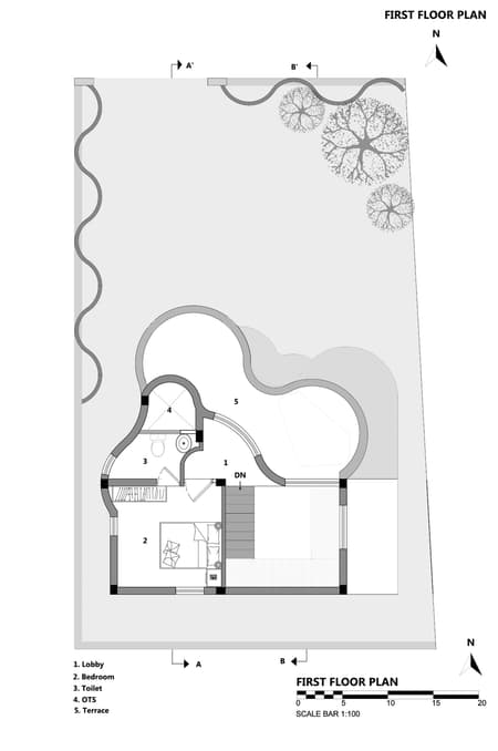 House of Dancing cactus