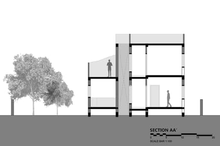 House of Dancing cactus