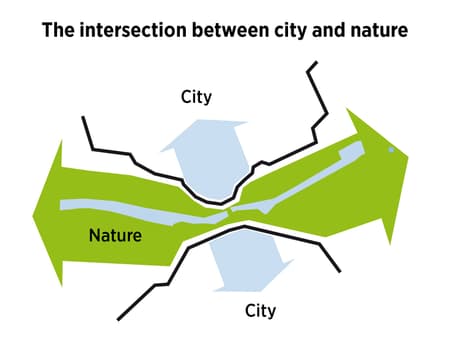 Stork Meadow Nature Park 