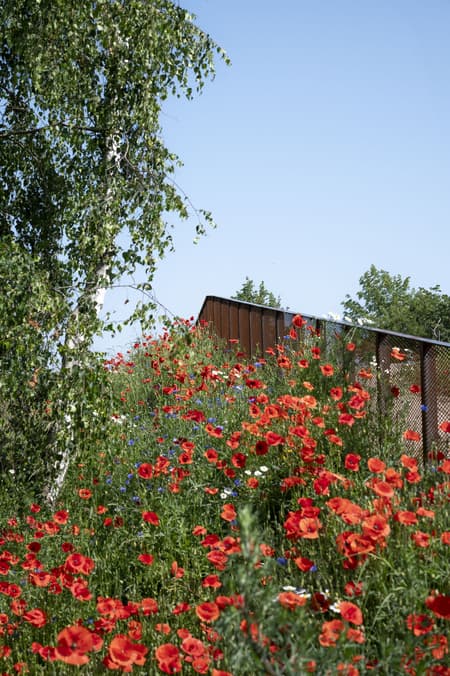 Stork Meadow Nature Park 