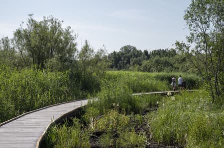 Stork Meadow Nature Park 