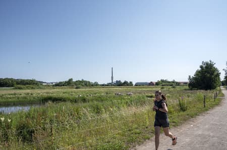 Stork Meadow Nature Park 