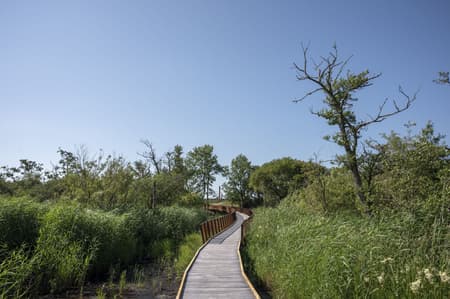 Stork Meadow Nature Park 