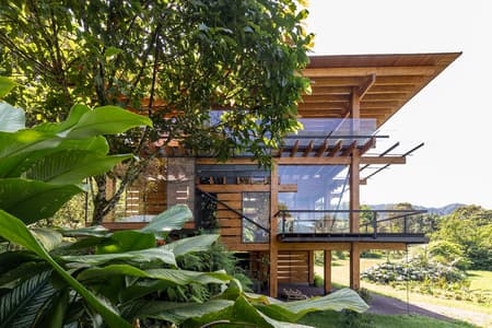 Pitaya House
