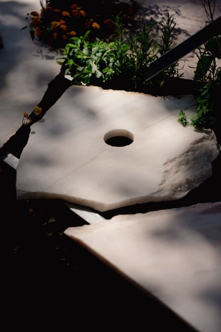 Live Kitchen — Francisca Sotto & Jeremy Morris