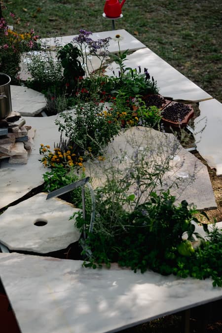 Live Kitchen — Francisca Sotto & Jeremy Morris