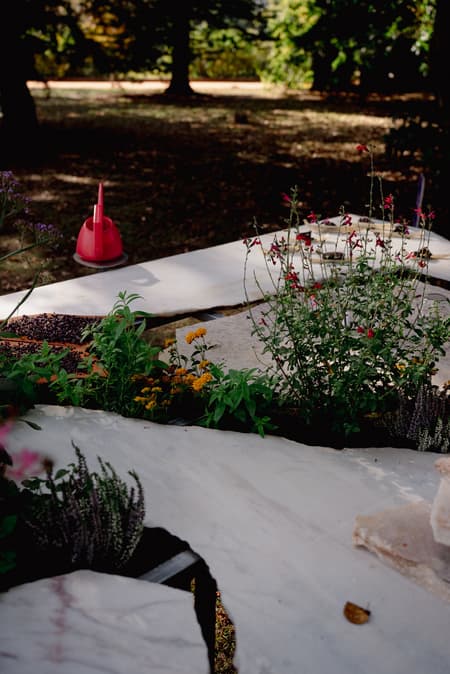 Live Kitchen — Francisca Sotto & Jeremy Morris