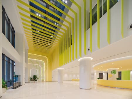 Shenzhen Children's Hospital Longhua Campus