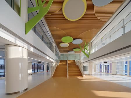 Shenzhen Children's Hospital Longhua Campus