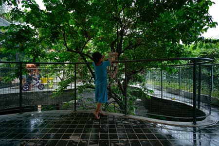Linh Trung House