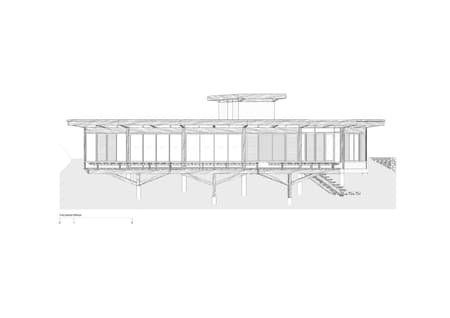 Fig Tree House