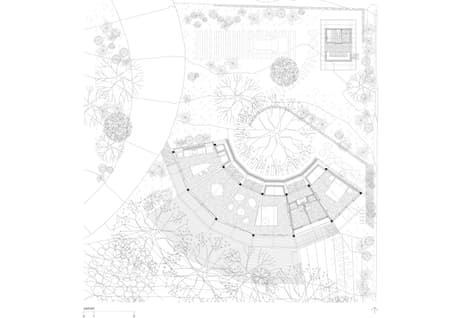 Fig Tree House