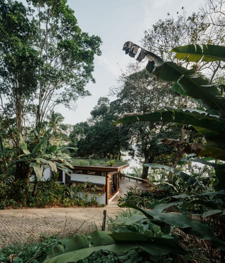 Fig Tree House
