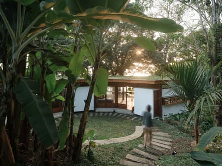 Fig Tree House