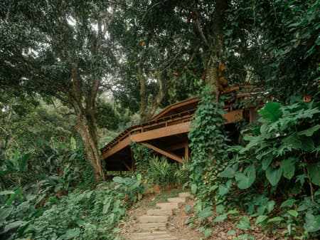 Fig Tree House