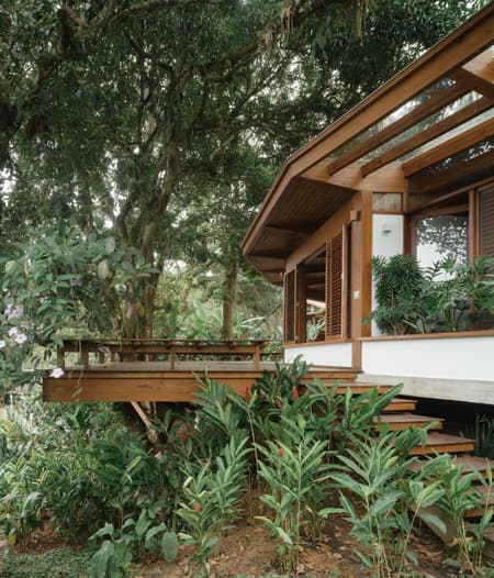 Fig Tree House
