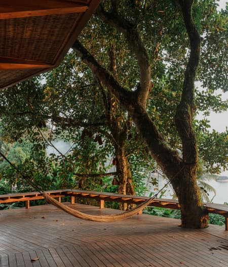 Fig Tree House