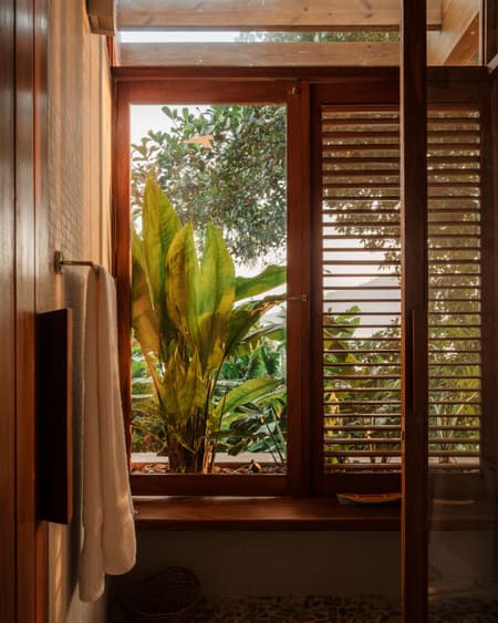 Fig Tree House