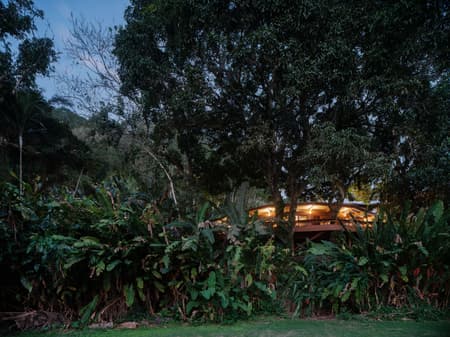 Fig Tree House