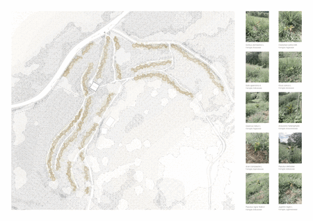 Taller Agropoetico - Foresta Collective