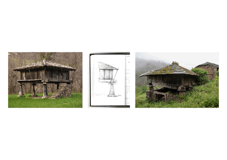 Taller Agropoetico - Foresta Collective