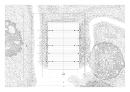 Taller Agropoetico - Foresta Collective