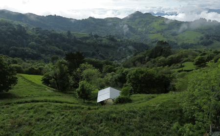 Taller Agropoetico - Foresta Collective