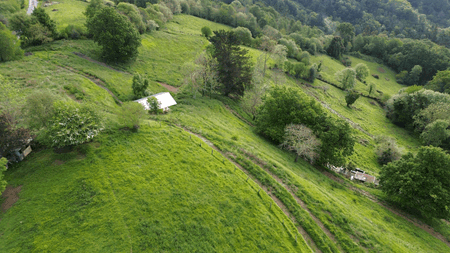 Taller Agropoetico - Foresta Collective