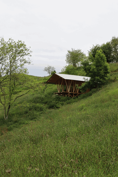 Taller Agropoetico - Foresta Collective