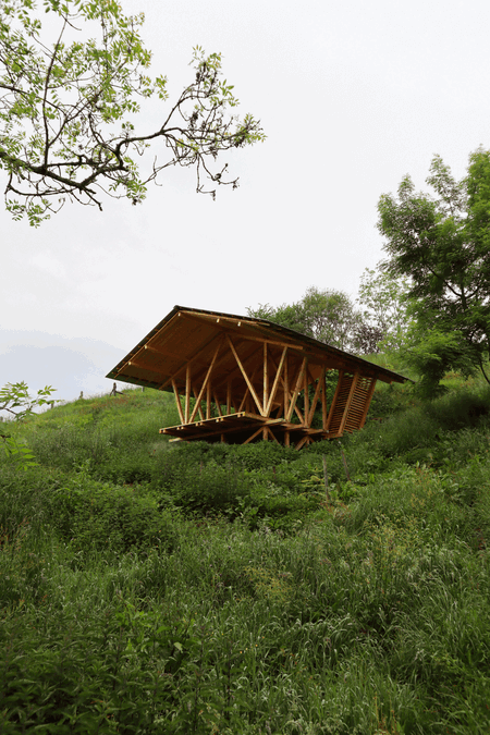 Taller Agropoetico - Foresta Collective