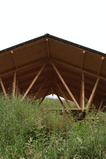 Taller Agropoetico - Foresta Collective