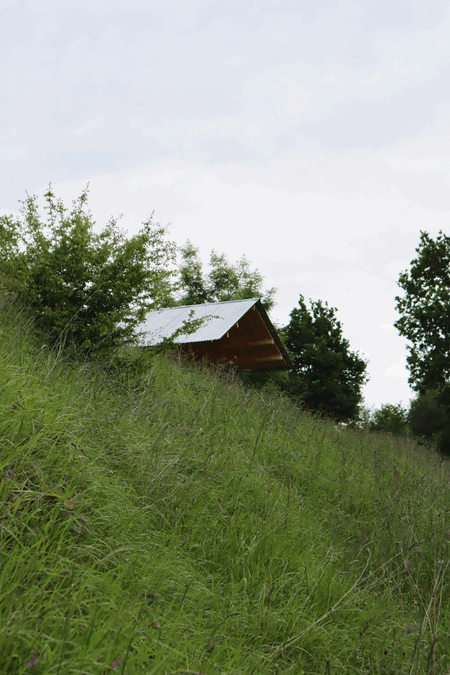 Taller Agropoetico - Foresta Collective