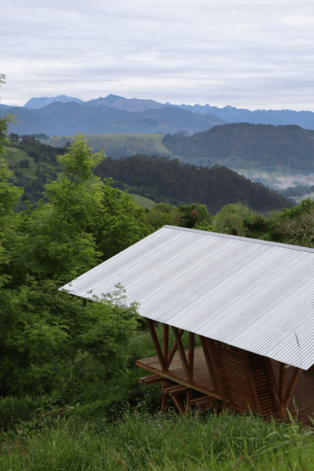 Taller Agropoetico - Foresta Collective