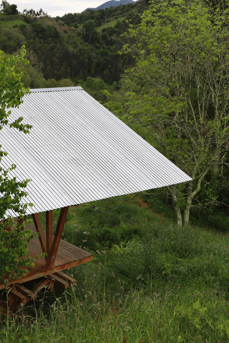 Taller Agropoetico - Foresta Collective