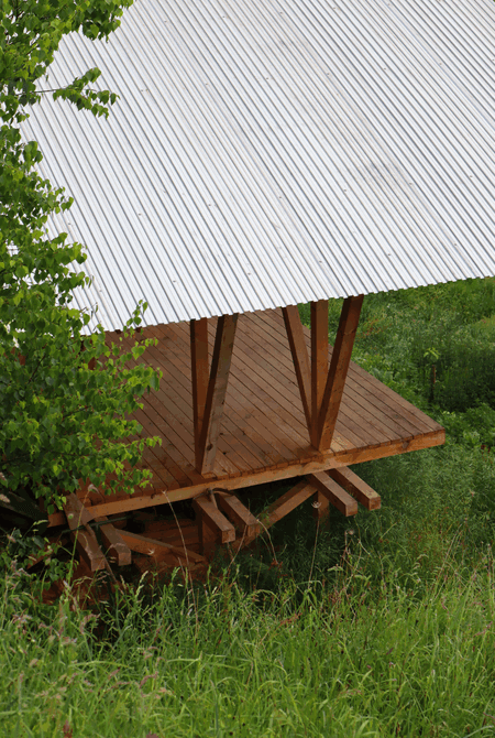 Taller Agropoetico - Foresta Collective