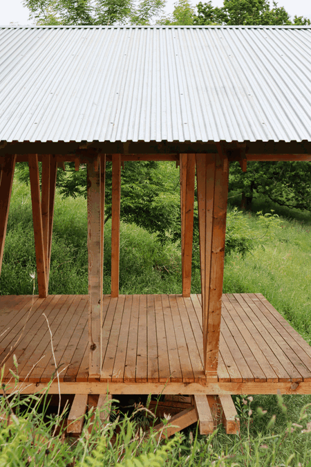 Taller Agropoetico - Foresta Collective