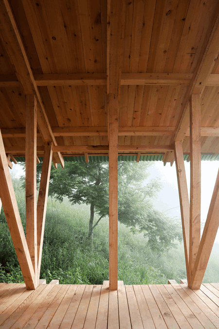 Taller Agropoetico - Foresta Collective