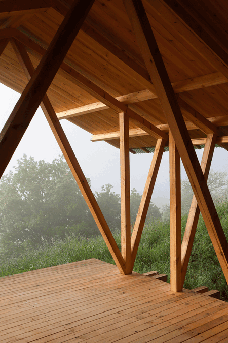 Taller Agropoetico - Foresta Collective