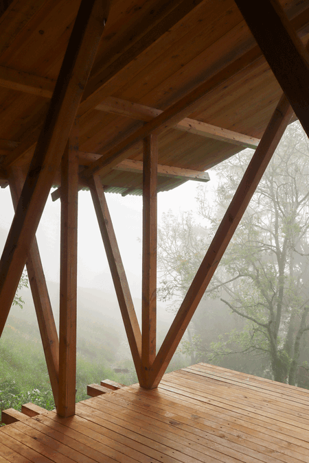 Taller Agropoetico - Foresta Collective