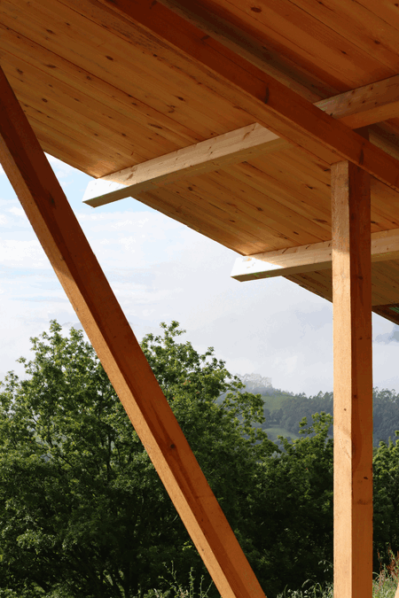 Taller Agropoetico - Foresta Collective