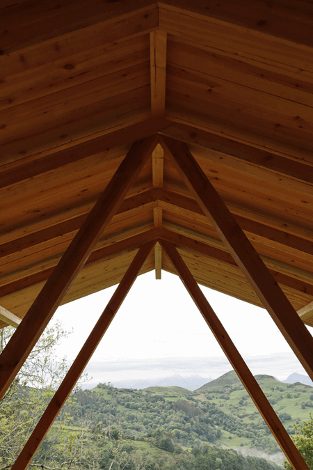 Taller Agropoetico - Foresta Collective