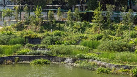 Bidadari Park 