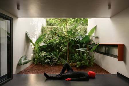 MRIYA - the Red House