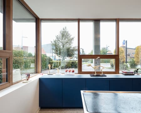 House and Veterinary Practice VD-B