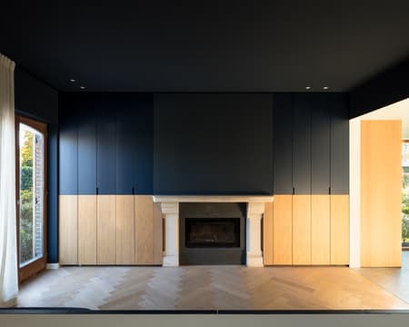 House and Veterinary Practice VD-B