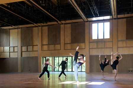 Doris Duke Theatre
