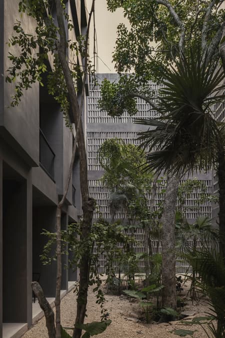 Casa Selva - Housing for Hospitality Workers