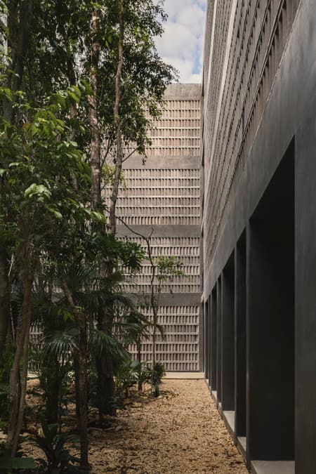 Casa Selva - Housing for Hospitality Workers