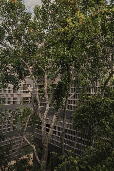 Casa Selva - Housing for Hospitality Workers
