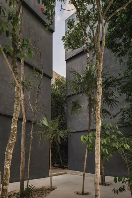Casa Selva - Housing for Hospitality Workers